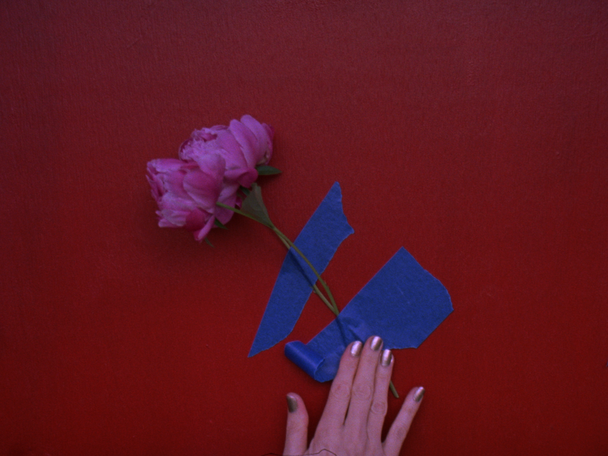 3 peonies